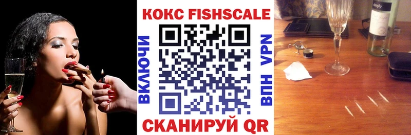 Cocaine FishScale  купить наркотики цена  Пыталово 