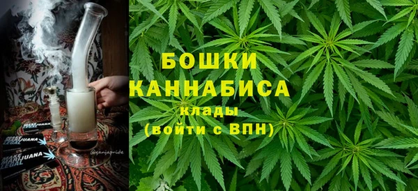 тгк Арсеньев