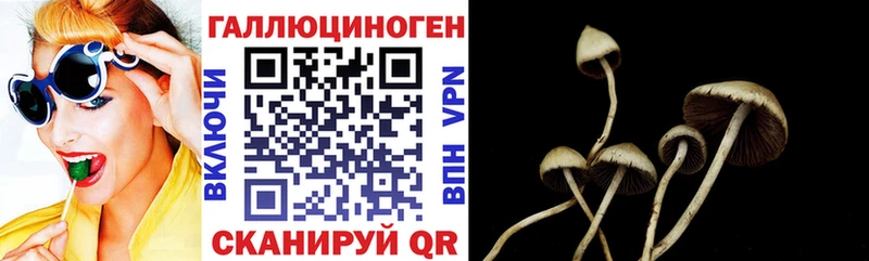 Псилоцибиновые грибы мухоморы  Пыталово 